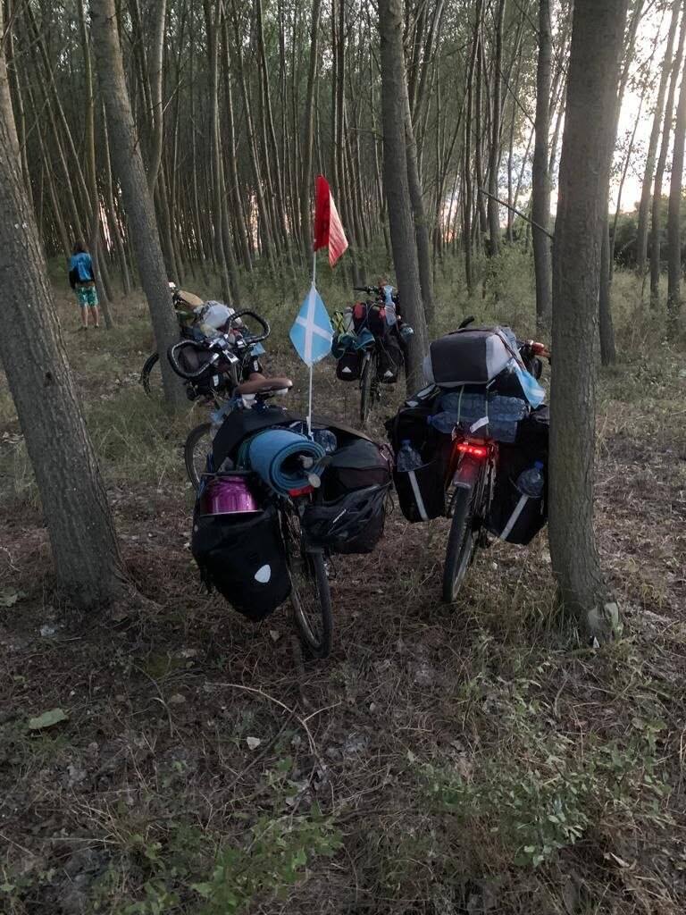 Loaded touring bicycles parked among closely spaced woodland trees